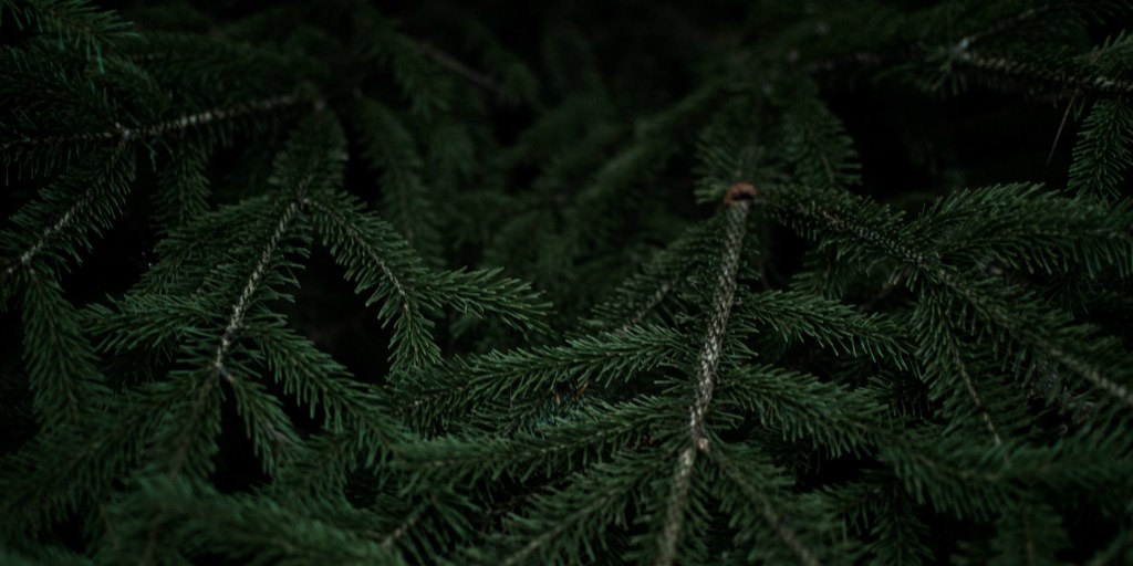 Currently // December 2018: This Year’s Past, Present, and the&nbsp;Future