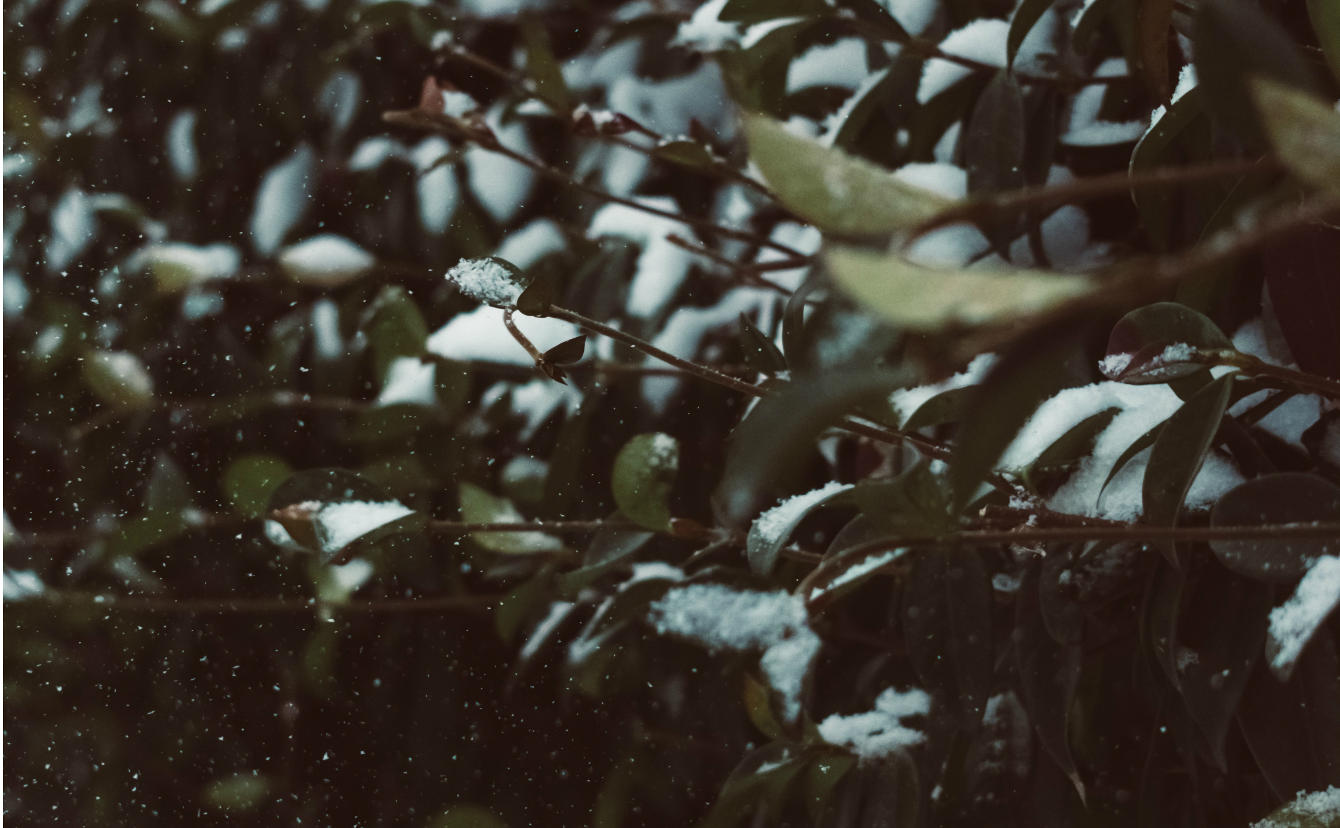 Currently // March 2019: Seeds of Possibility