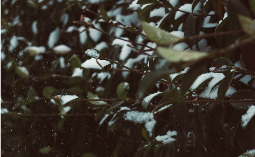 Currently // March 2019: Seeds of&nbsp;Possibility