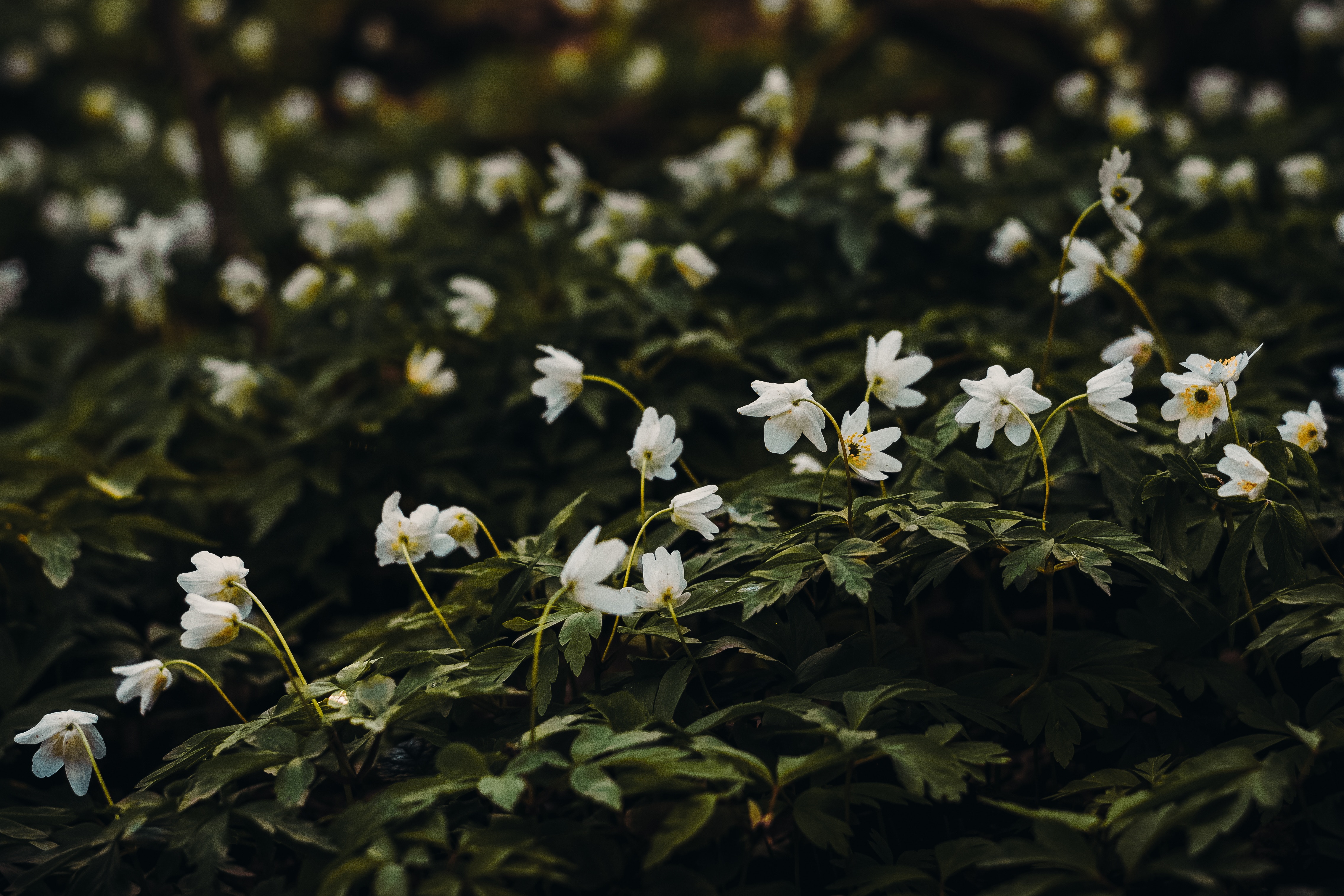Currently // April 2019: Showing Myself Some Appreciation