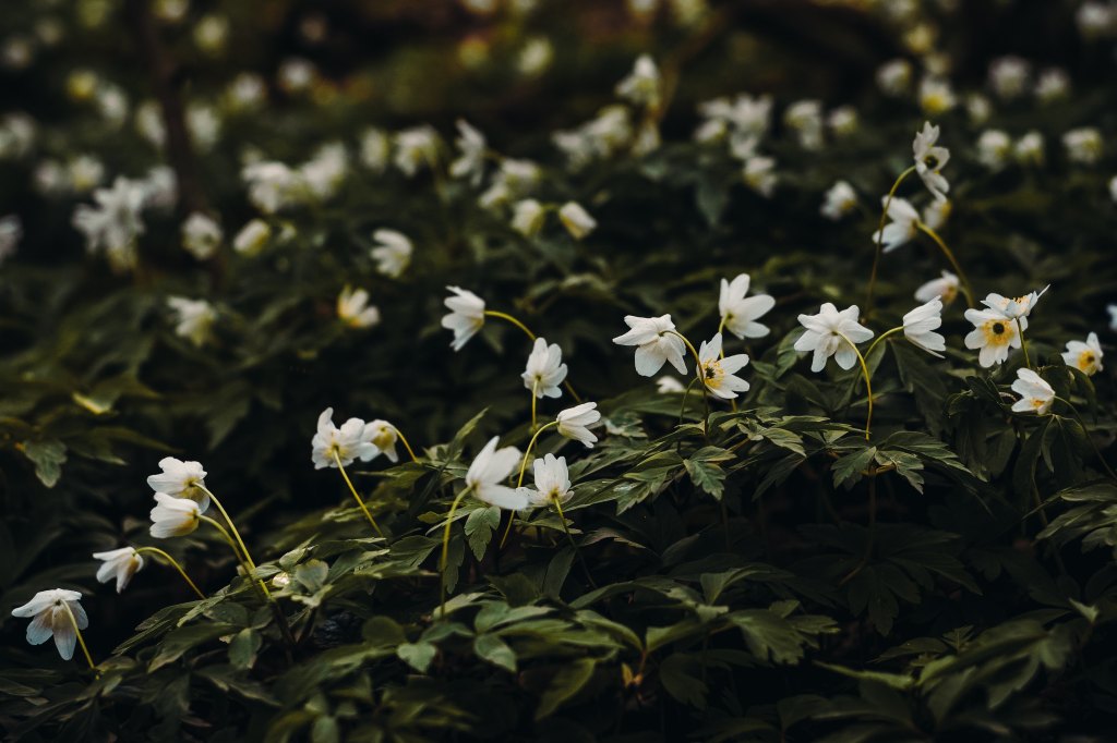 Currently // April 2019: Showing Myself Some&nbsp;Appreciation