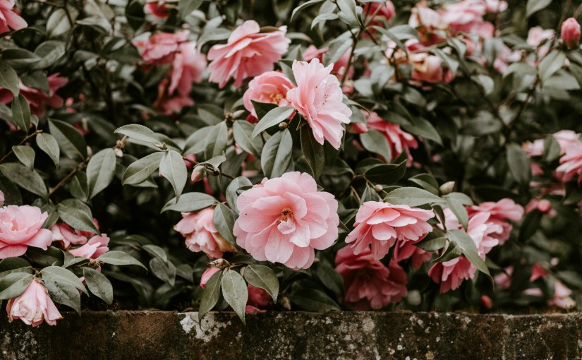 Currently // May 2019: An Absolutely Miserable&nbsp;Month