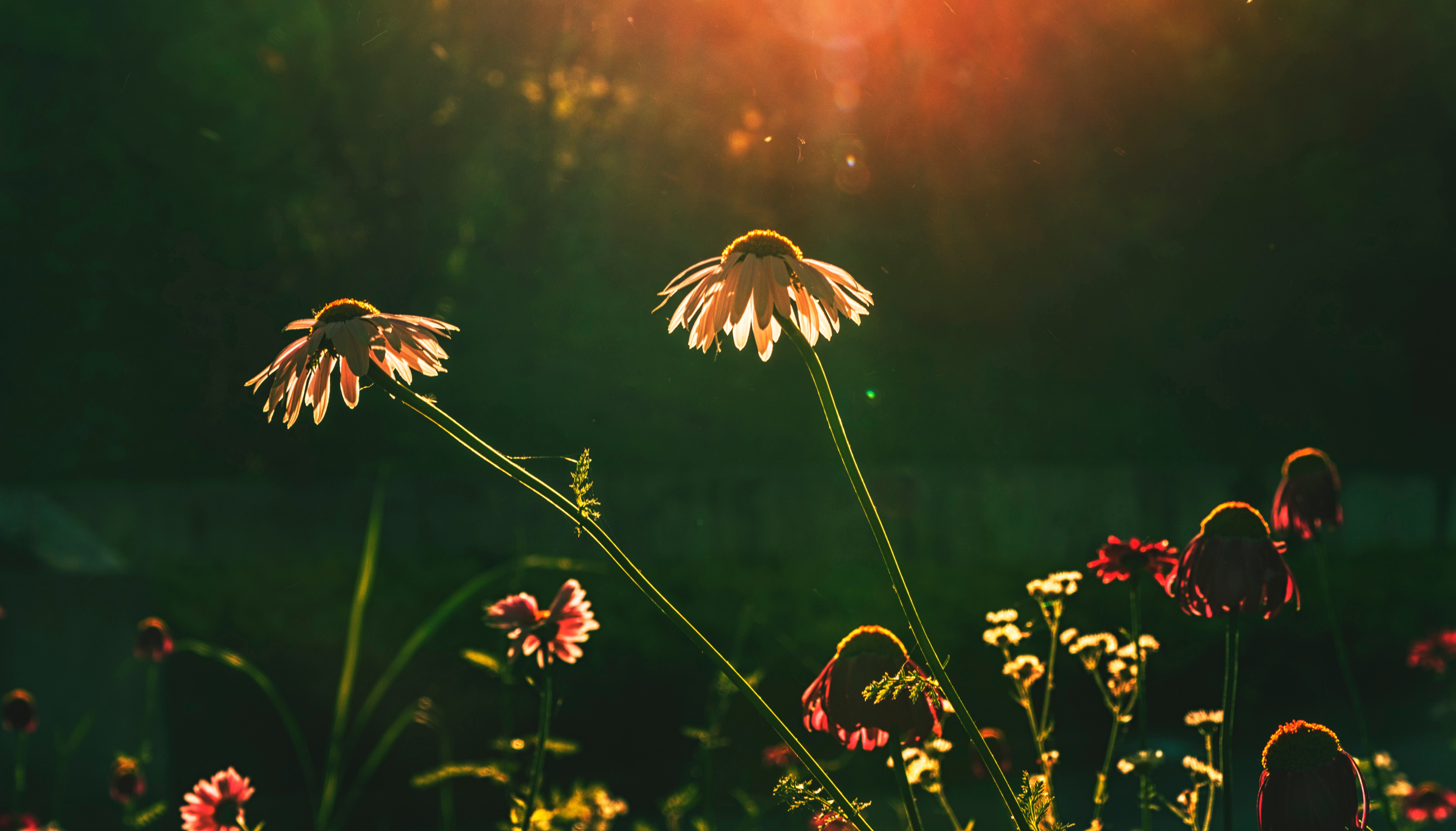 Currently // September 2019: All the Summer We Could Have