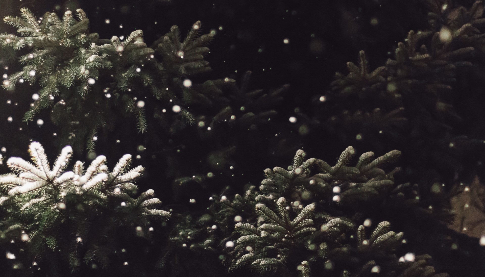 Currently // December 2019: Warmth for the Body and the Soul
