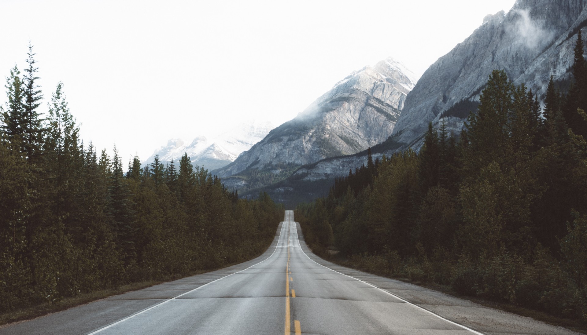 Goals // Week 03