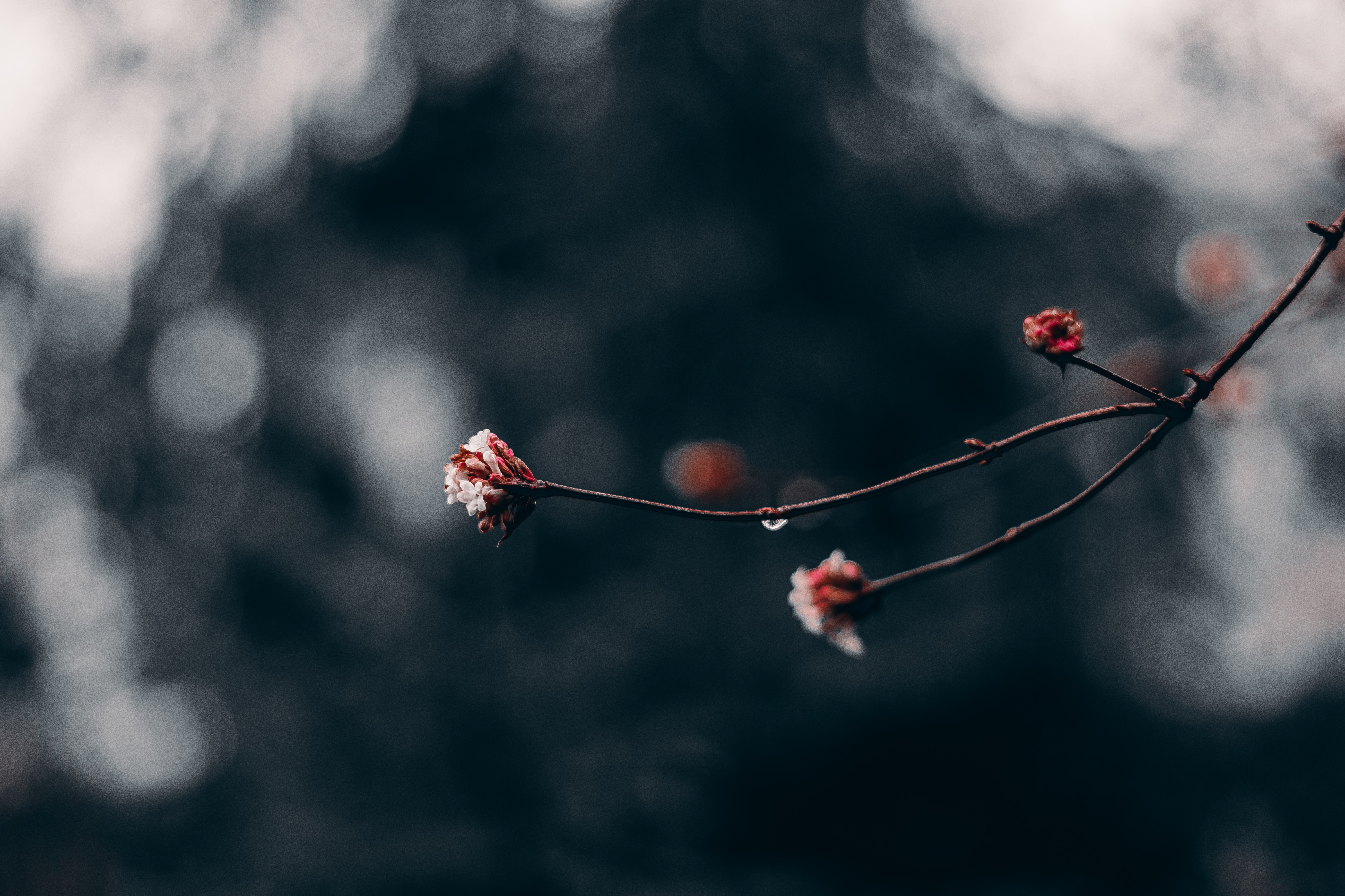 Currently // March 2020: Everything Has Changed