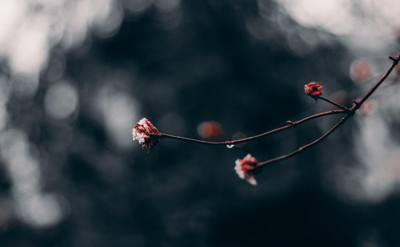 Currently // March 2020: Everything Has&nbsp;Changed