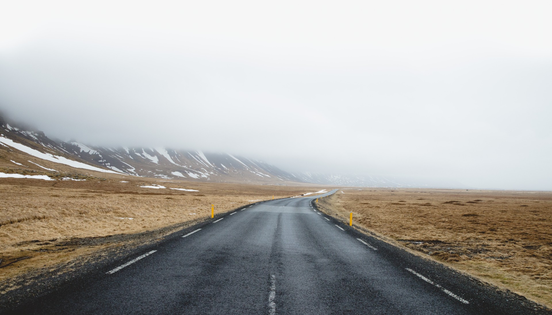 Goals // Week 40: Amor Fati
