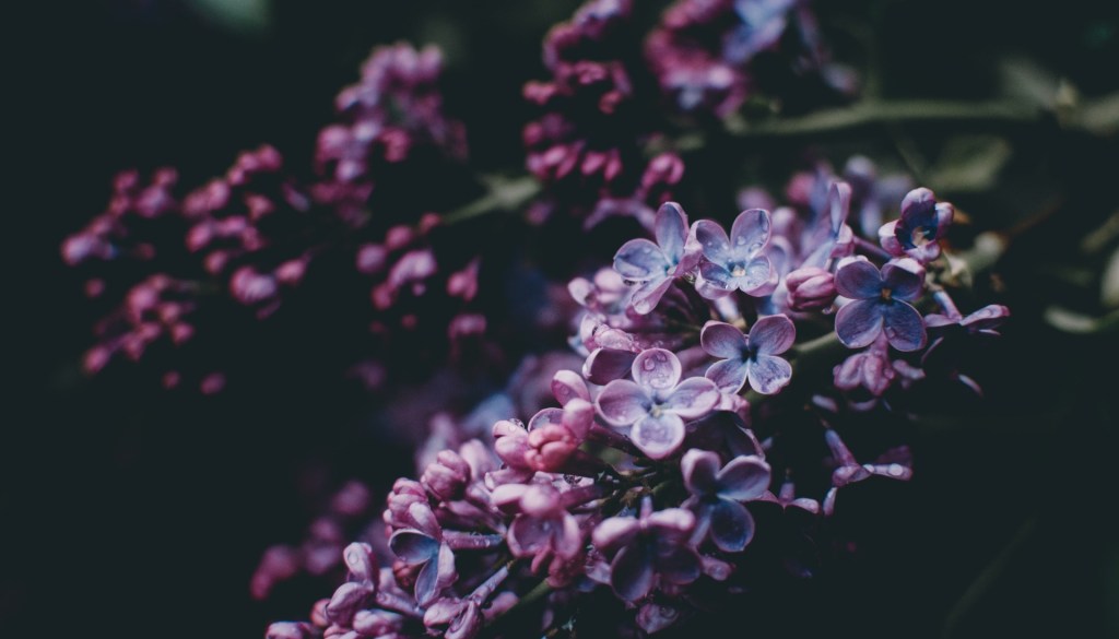 Currently // April 2020: There Is No Normal