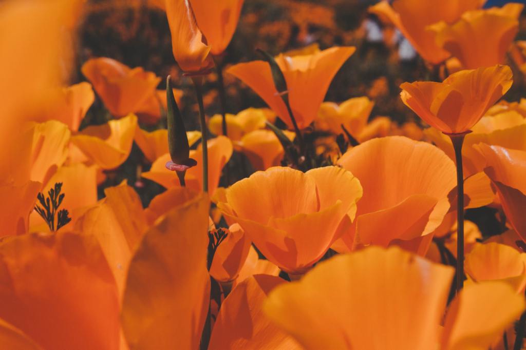 Currently // May 2020: Getting Used To Life&nbsp;Again