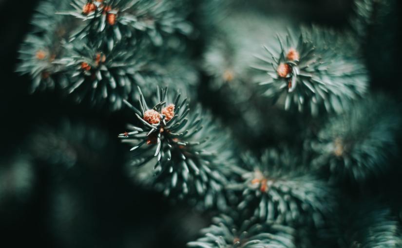 Currently // December 2020: Never Be the&nbsp;Same