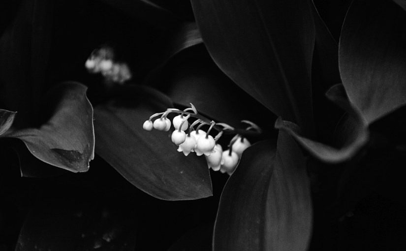 Currently // April 2021: After the&nbsp;Storms