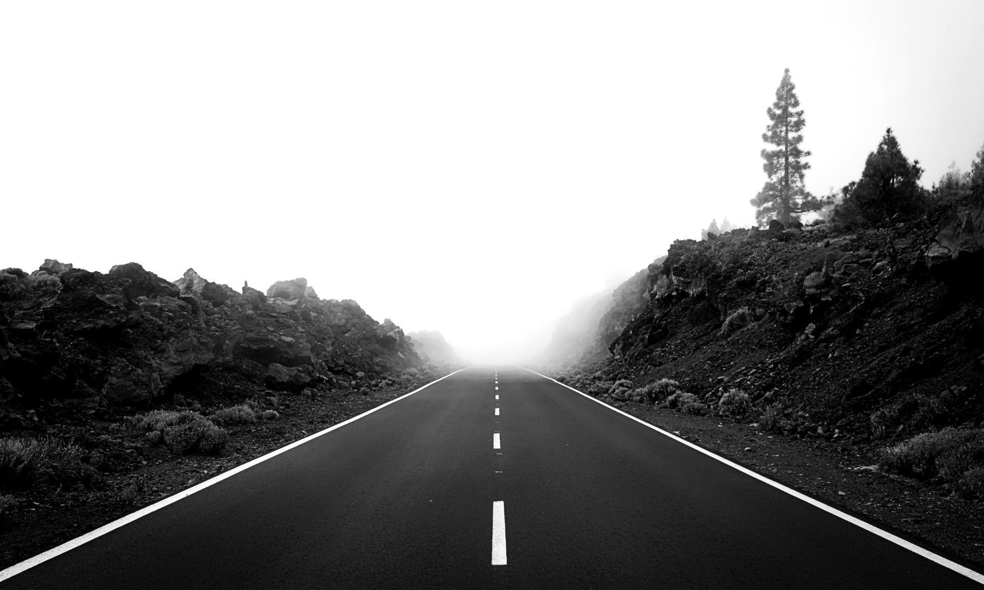 Goals // Week 19: Time Without Work, Without Worry