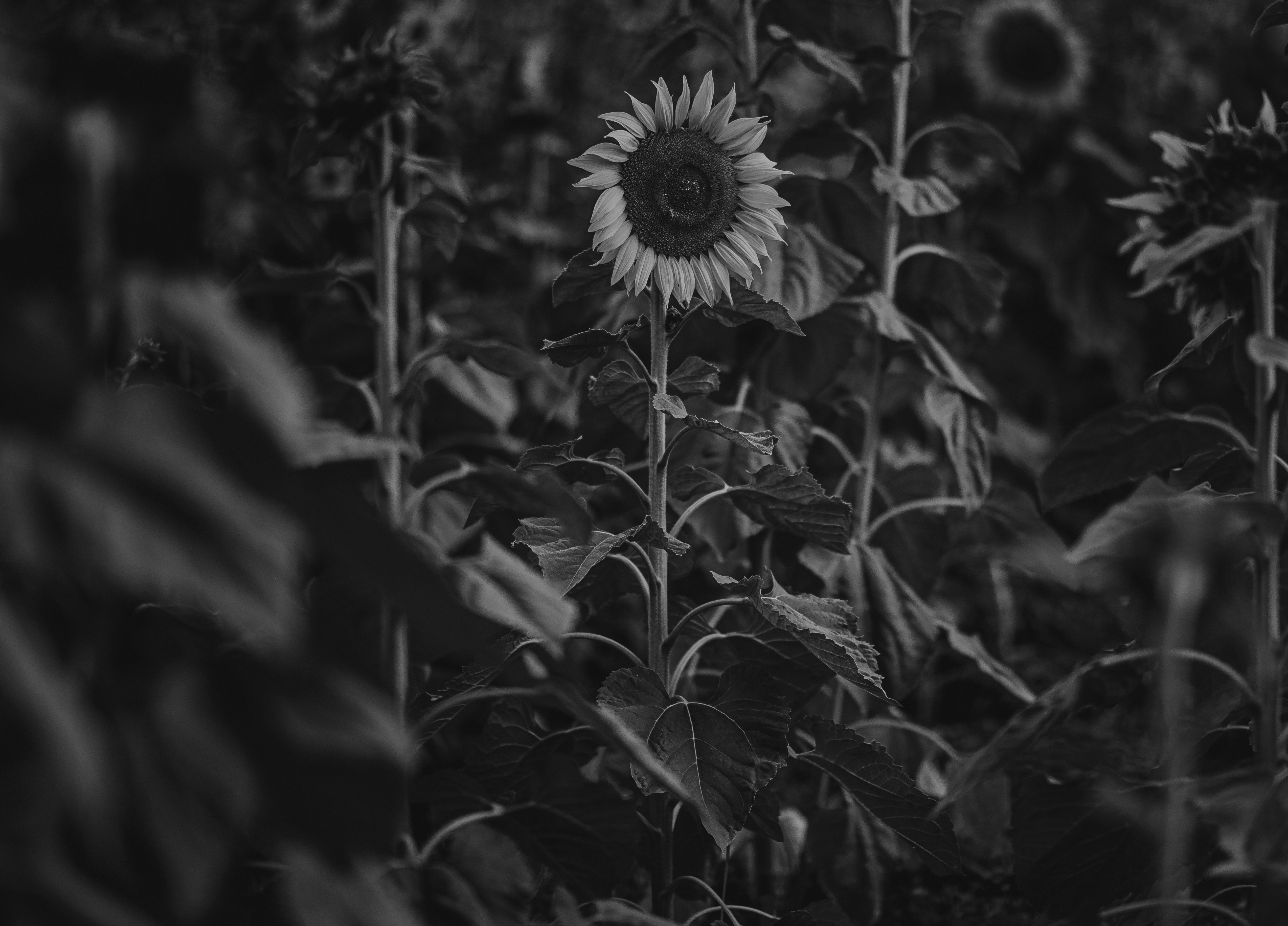 Currently // August 2021: Settling Down and Settling In