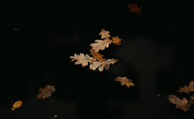 What Thanksgiving Can&nbsp;Be