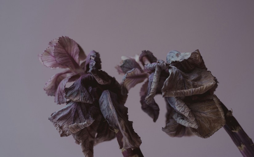 A Distance Measured in&nbsp;Silence