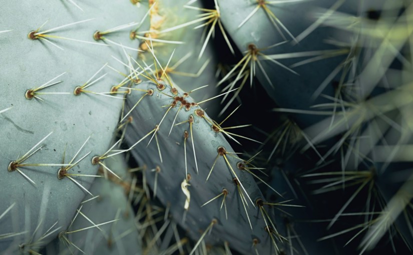 And After Self-Hate?