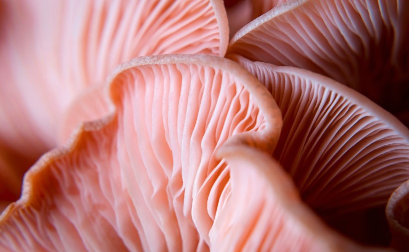 A Reckoning With&nbsp;Yourself